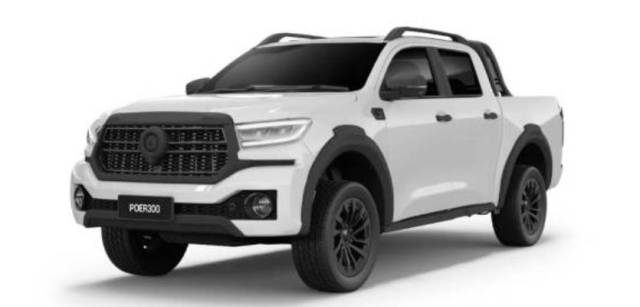 GWM POER300 Business Offer